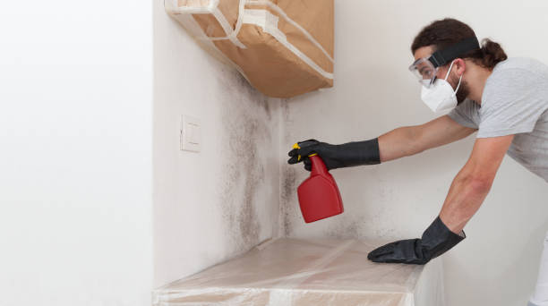 Professional Crawl Space Mold Remediation technician working in Hyde Park, MA