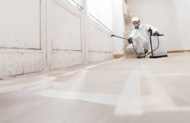 24/7 Emergency Crawl Space Mold Remediation experts in Hyde Park, MA